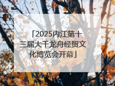 2025内江第十三届大千龙舟经贸文化博览会开幕
