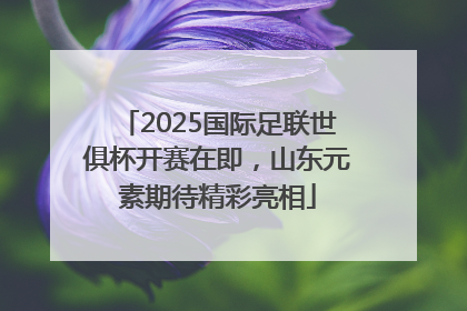 2025国际足联世俱杯开赛在即，山东元素期待精彩亮相