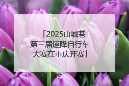 2025山城巷第三届速降自行车大赛在重庆开赛