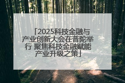 2025科技金融与产业创新大会在普陀举行 聚焦科技金融赋能产业升级之策
