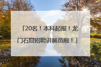 20名！本科起报！龙门石窟招聘讲解员啦！