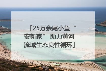 25万余尾小鱼“安新家” 助力黄河流域生态良性循环