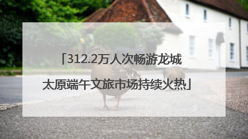 312.2万人次畅游龙城 太原端午文旅市场持续火热