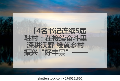4名书记连续5届驻村：在接续奋斗里深耕沃野 绘就乡村振兴“好丰景”——浦发银行南京分行助力脱贫攻坚、帮促乡村振兴记事（二）