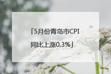 5月份青岛市CPI同比上涨0.3%
