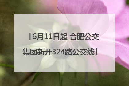 6月11日起 合肥公交集团新开324路公交线