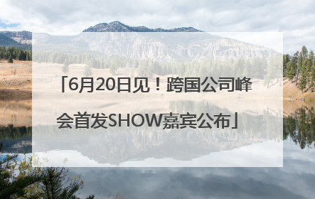 6月20日见！跨国公司峰会首发SHOW嘉宾公布