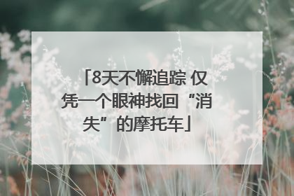 8天不懈追踪 仅凭一个眼神找回“消失”的摩托车
