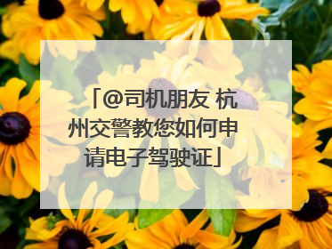 @司机朋友 杭州交警教您如何申请电子驾驶证