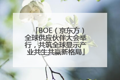 BOE（京东方）全球供应伙伴大会举行，共筑全球显示产业共生共赢新格局