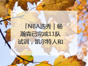 NBA选秀｜杨瀚森已完成11队试训，凯尔特人和太阳更适合他